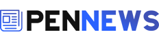 hindizyan.com
