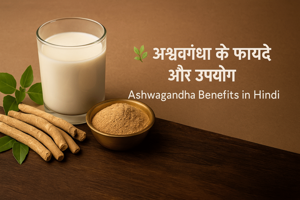 अश्वगंधा के फायदे और उपयोग | Ashwagandha Benefits in Hindi
