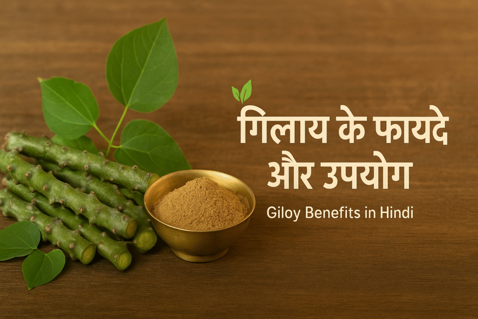 गिलोय के फायदे और उपयोग Giloy Benefits in Hindi